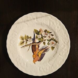 Birds Of America National Audubon Society Plate- #17 Carokina Turtle Dove